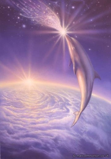 Moeder Aarde natuurhealing -  Kaasjeskruid