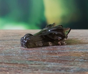 Drakenschedel mini rooskwarts donker 2