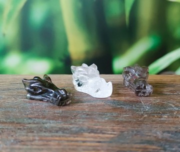 Drakenschedel mini set  0