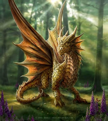 Moeder Aarde natuurhealing - Braam