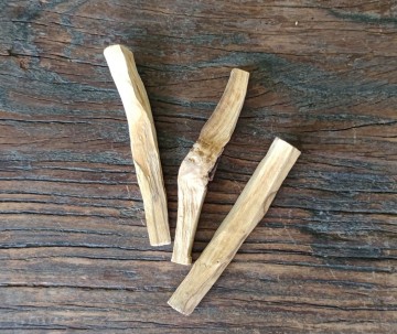 Palo santo 1b