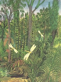 Moeder Aarde natuurhealing - Heermoes