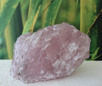 Rozenkwarts brok