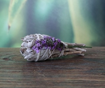 Salie healing smudge c