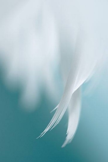 Moeder Aarde natuurhealing - Seleniet